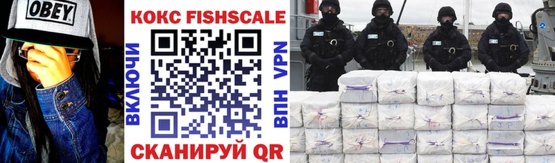 COCAIN Fish Scale  мориарти наркотические препараты  Дыгулыбгей 