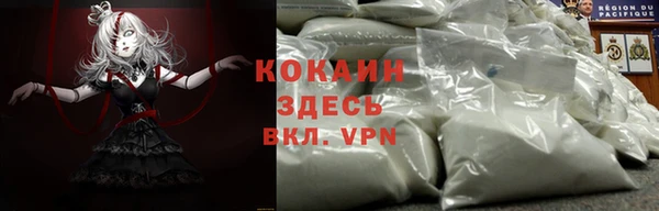 спайс Алексин