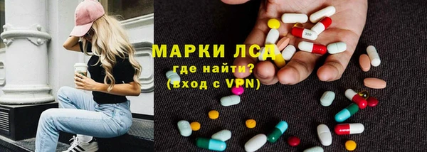гидра Алексеевка