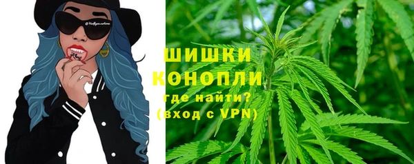 гидра Алексеевка